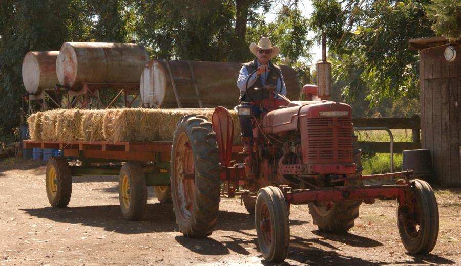 Tractor hauling hay