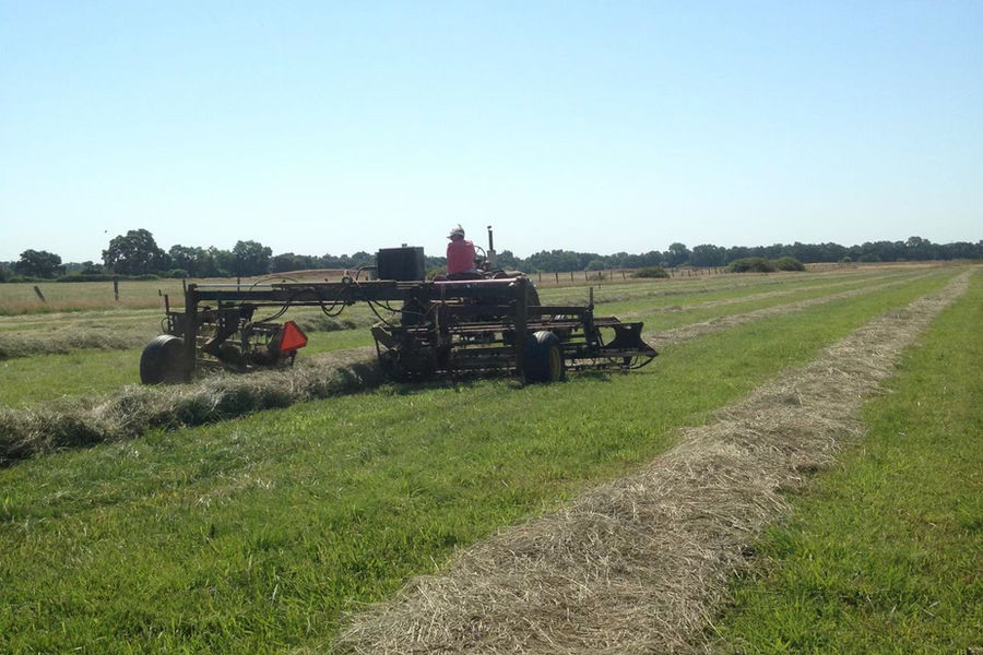 Hay operation